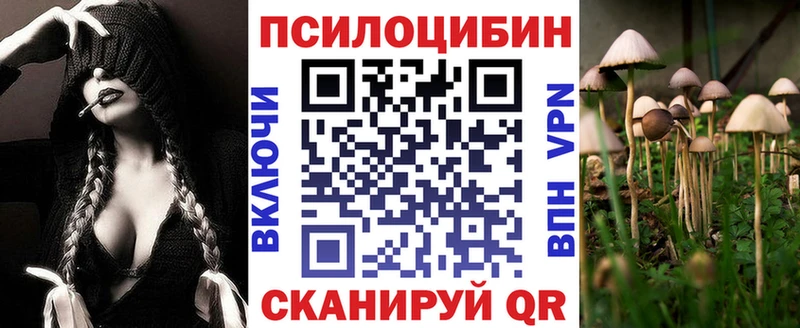Псилоцибиновые грибы прущие грибы  blacksprut как войти  shop Telegram  закладка  Новоржев 